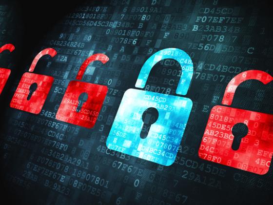 security-expert